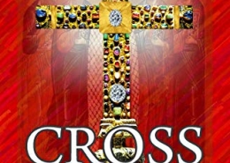 Cross of Goa Book Cover